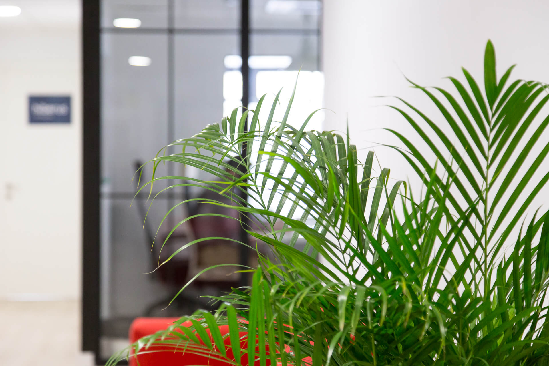 Coworking rural como nueva filosofía de trabajo