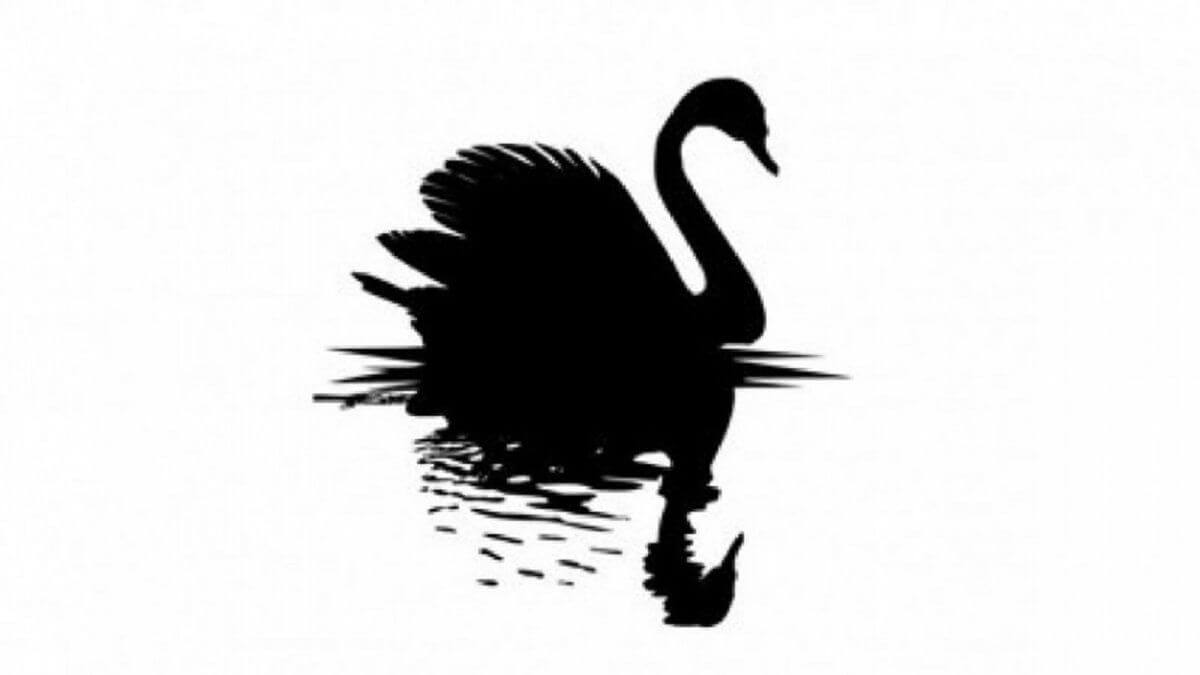 EMPRENDEDOR: NUESTRO CISNE NEGRO ES EL CORONA