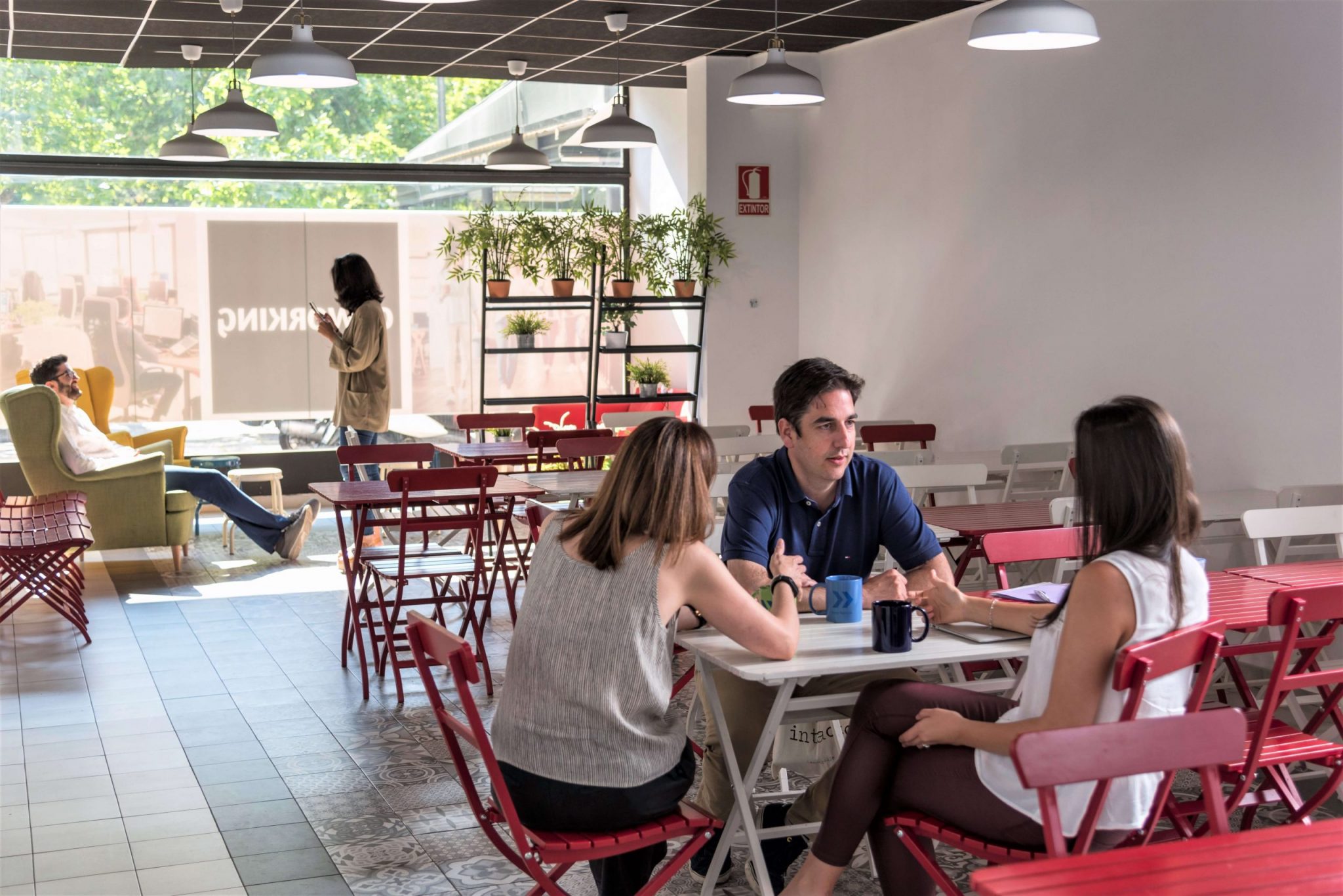 networking y coworking