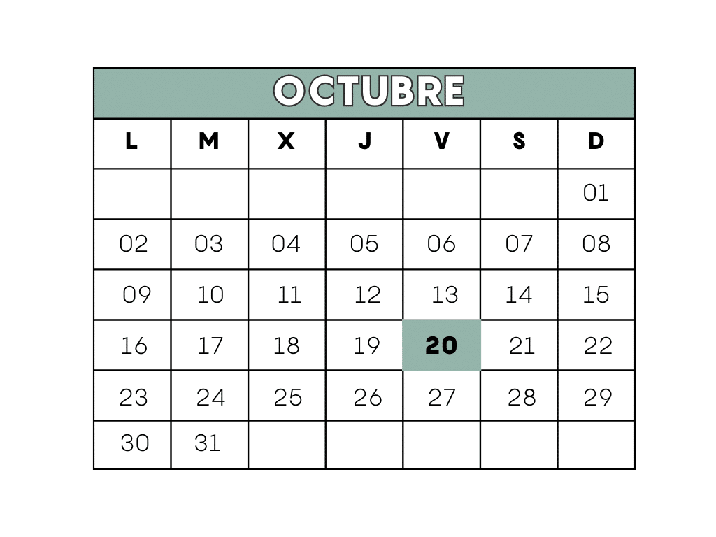 guía IVA autónomos y pymes